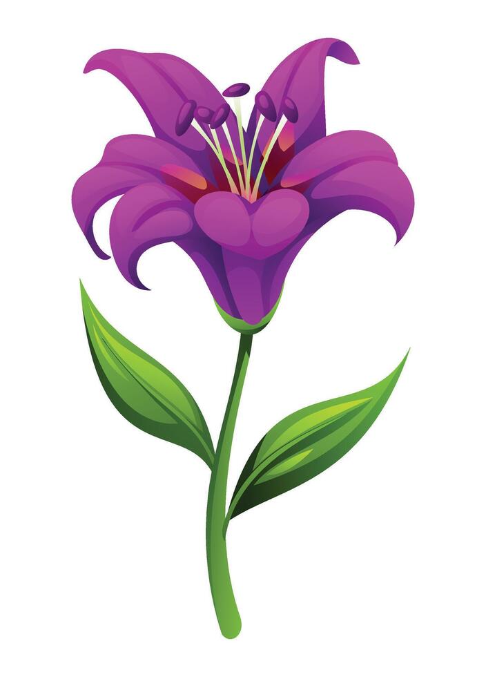 Purple lily flower with smooth petals and leaves, perfect for elegant floral designs. Cartoon illustration vector