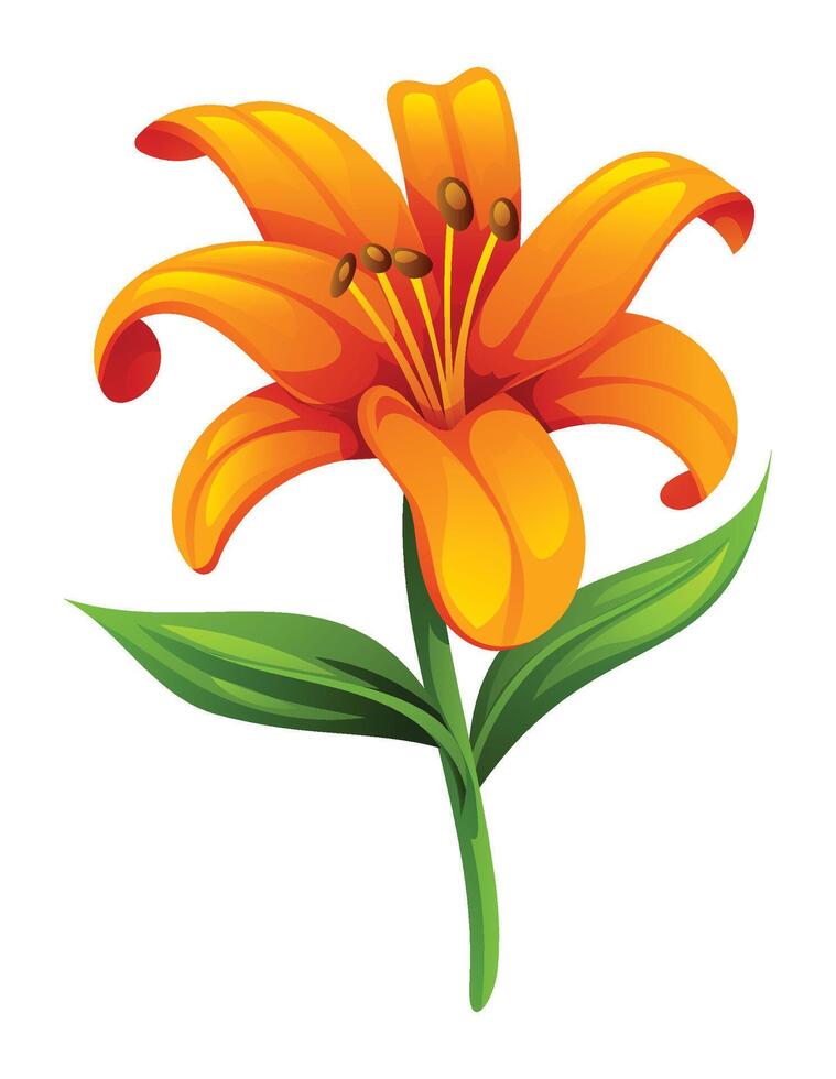 Orange lily flower with smooth petals and leaves, perfect for elegant floral designs. Cartoon illustration vector
