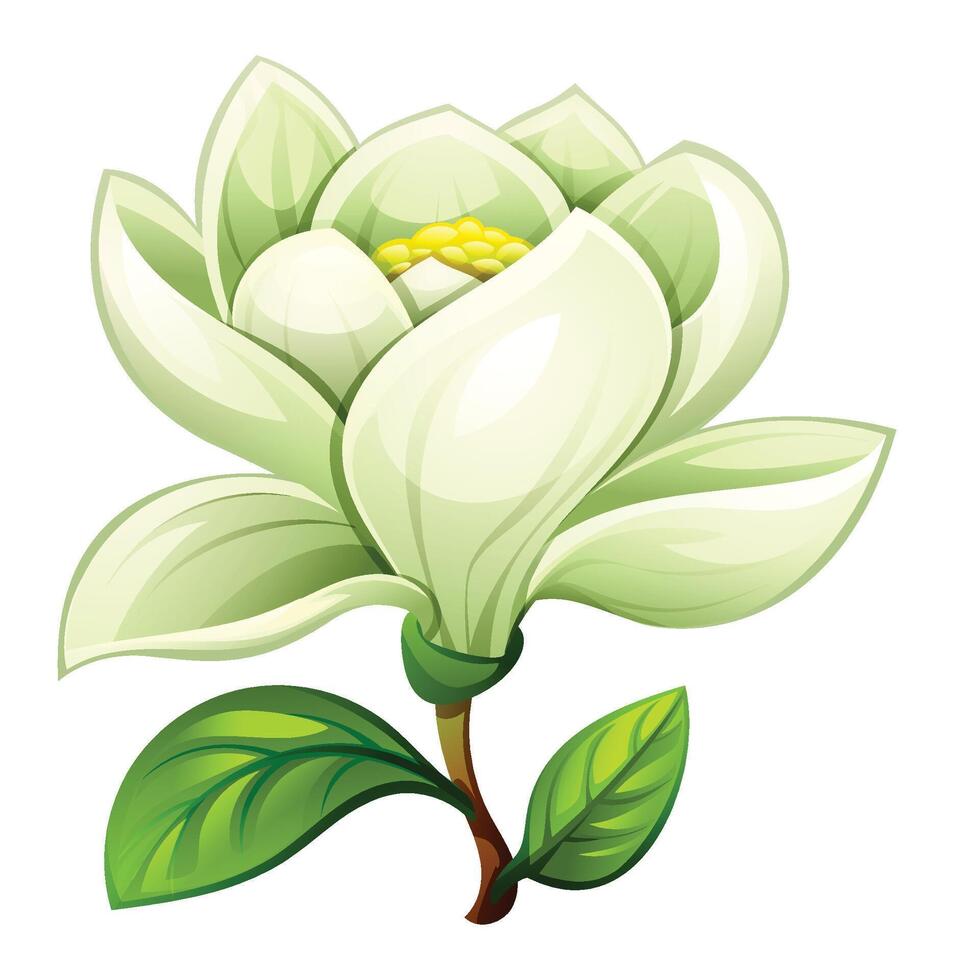 White magnolia flower with soft petals and leaves, showcasing a delicate bloom. Cartoon illustration vector