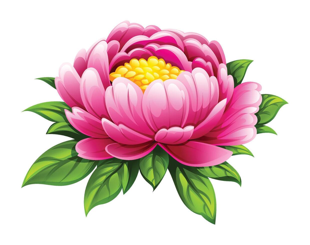 Pink peony flower with lush petals and green leaves. Cartoon illustration vector