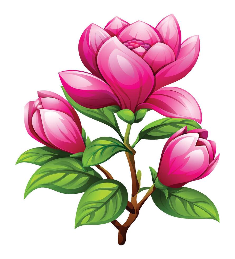 Magnolia branch with multiple pink flowers and buds, surrounded by leaves. Cartoon illustration vector