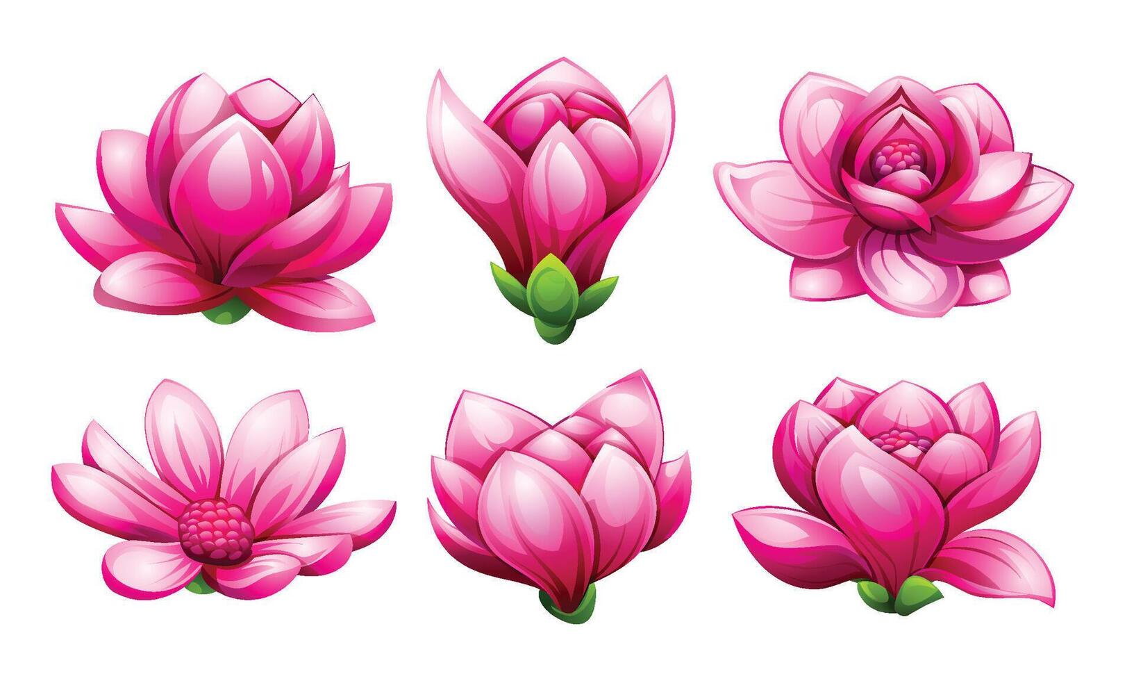 Set of beautiful pink magnolia flowers. Cartoon illustration vector