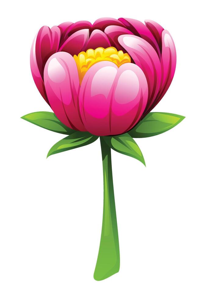 Pink peony flower with stem. Cartoon illustration vector