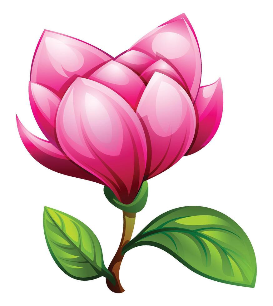 Magnolia flower with delicate pink petals and green leaves. Cartoon illustration isolated on white background vector