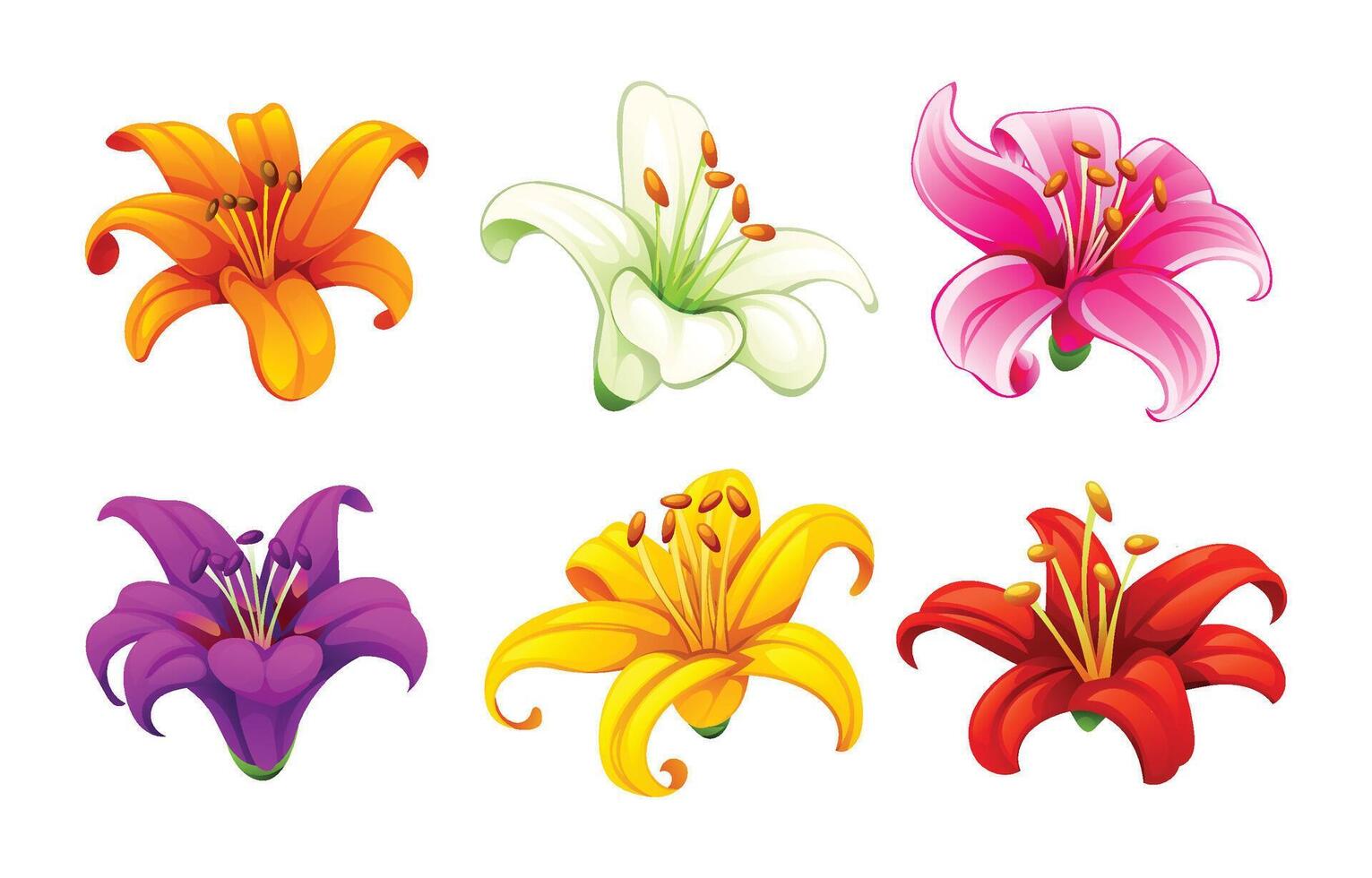 Collection of lilies in various colors. Cartoon illustration vector