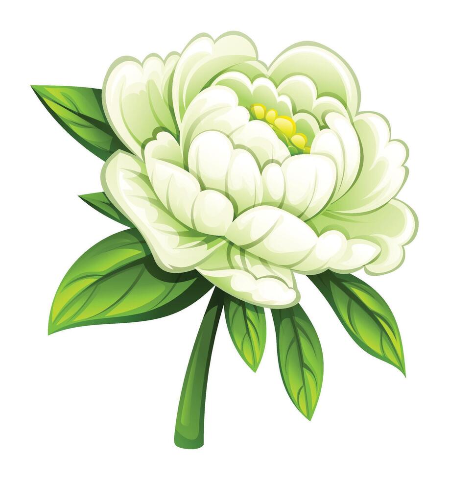 White peony flower with lush petals and leaves. Cartoon illustration vector