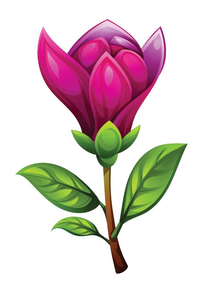 Purple magnolia flower with leaves, partially open blossom. Cartoon illustration isolated on white background vector