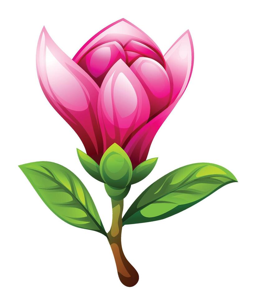Pink magnolia flower with leaves, partially open blossom. Cartoon illustration isolated on white background vector