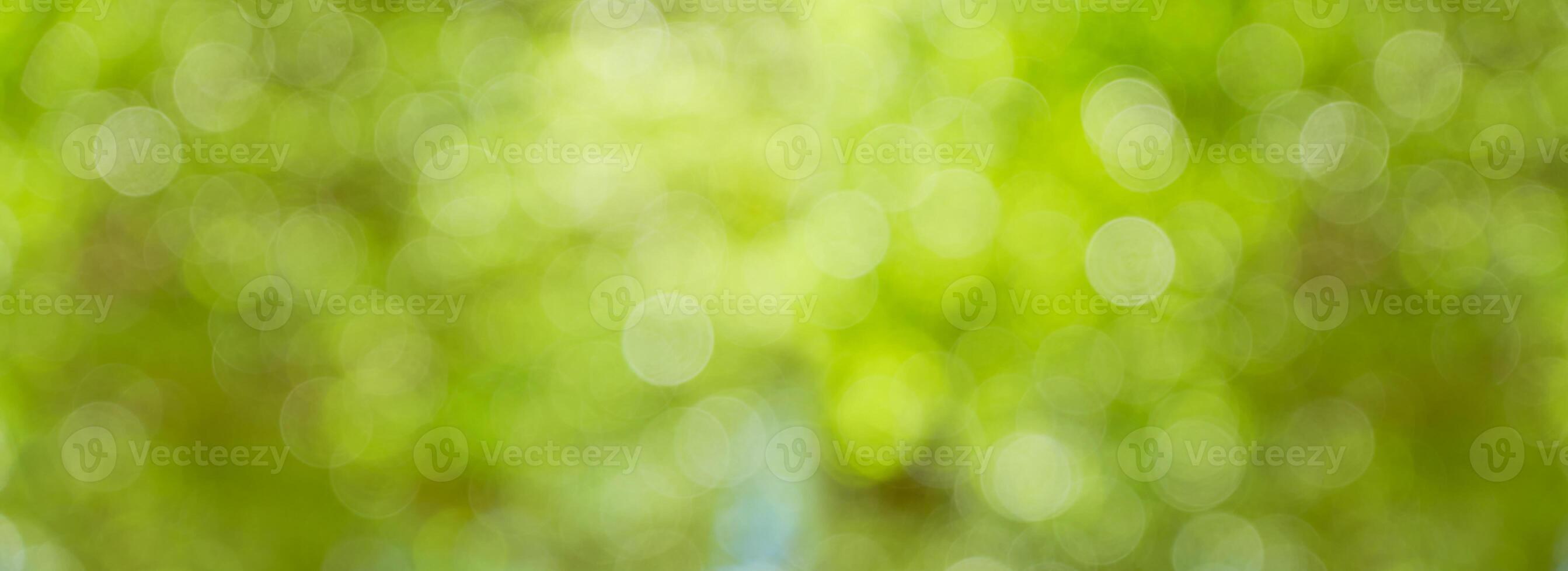 bokeh greenery background of tree leaves photo