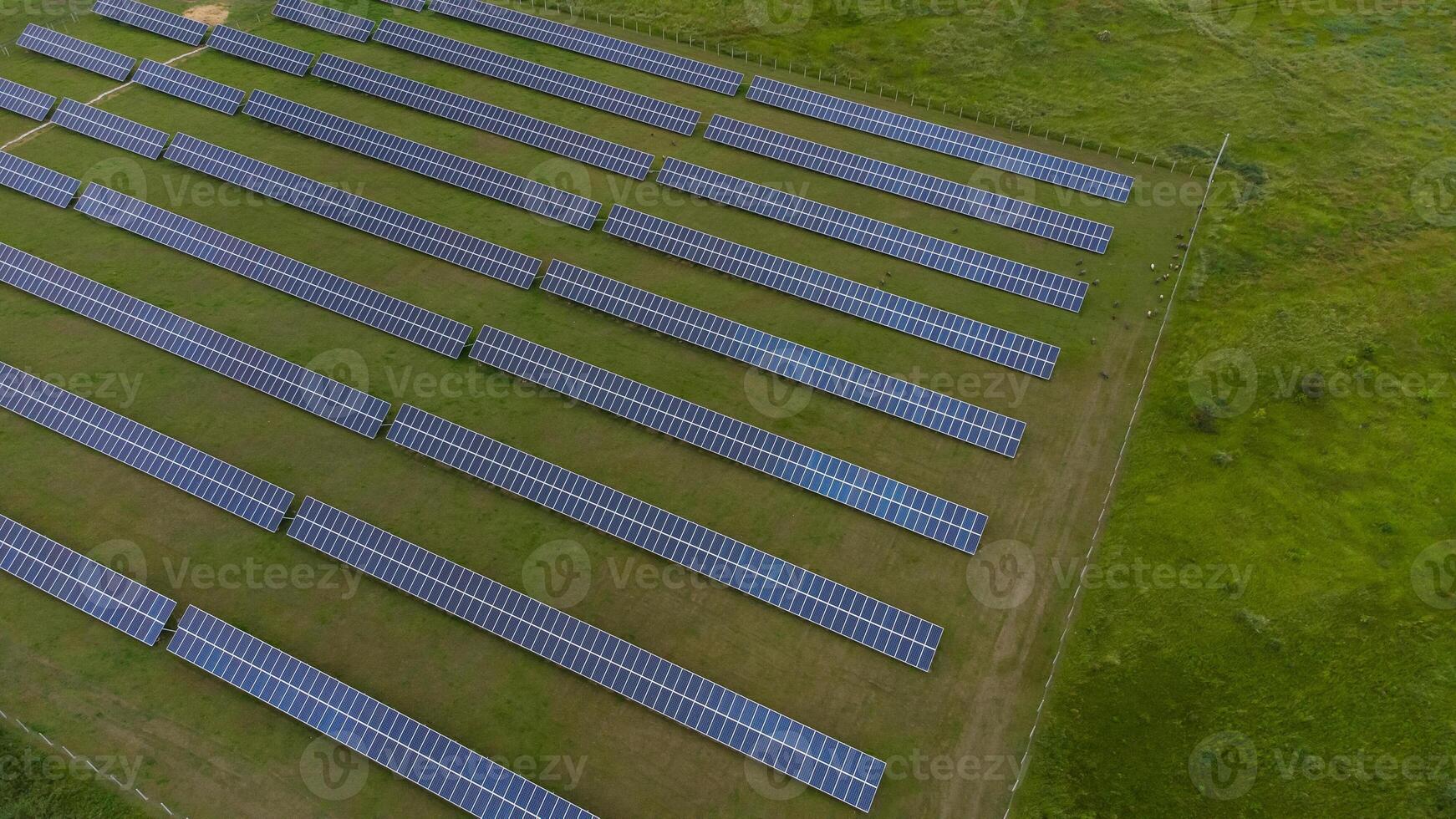 Aerial view of Solar Panels Farm solar cell with sunlight. Drone flight over solar panels field, renewable green alternative energy concept. photo