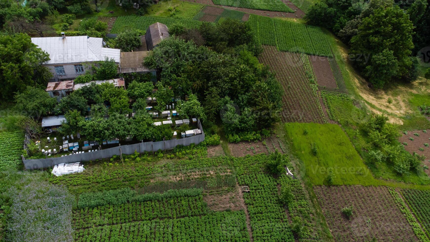 Bee hives near the house in the village photo