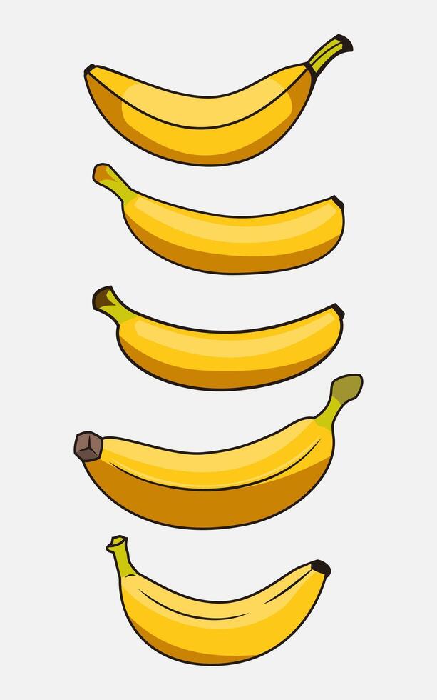 banana set template on white background for decoration vector