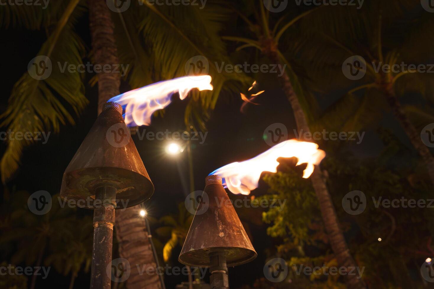 Two tiki torches flicker in the foreground against a dark sky, framed by tall palm trees, streetlights, and faint greenery in a Hawaiian setting. photo