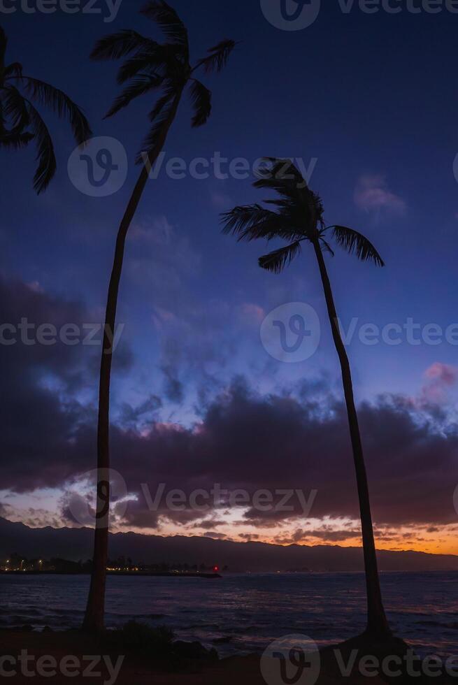 Silhouetted palm trees stand against a vibrant twilight sky near a red lit lighthouse. The ocean and distant coastal lights complete the tropical view. photo
