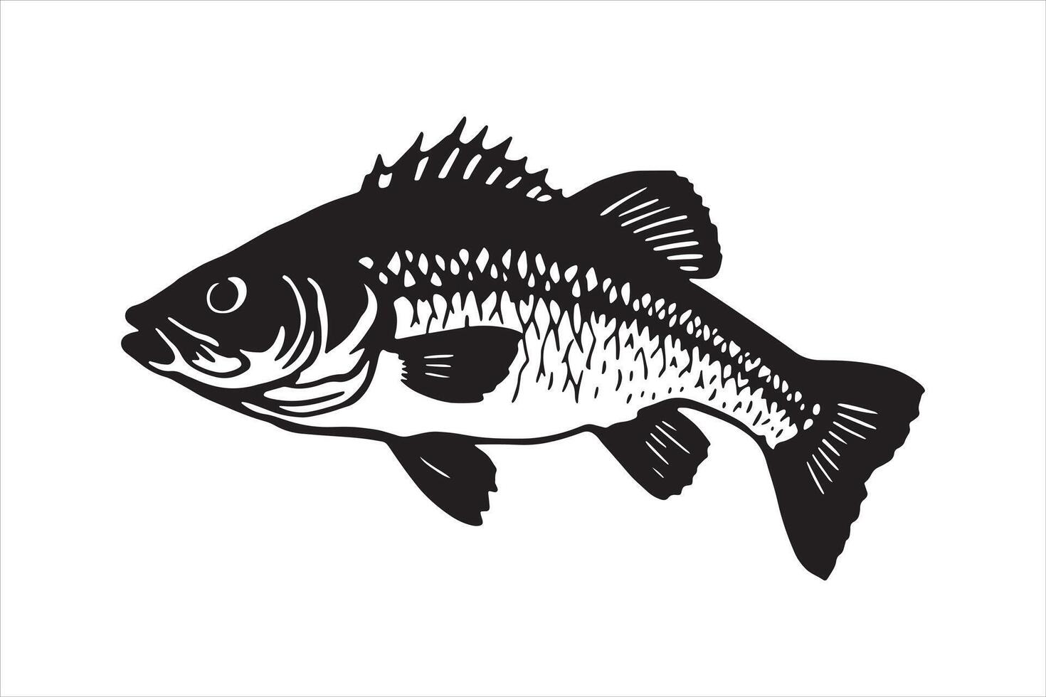 Bass Fish Silhouette Simple Graphic Isolated on white background vector
