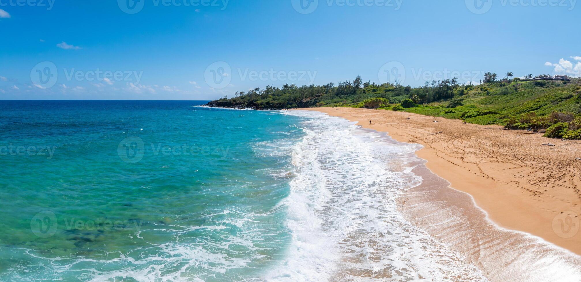 Golden sand beach on Kauai island, Hawaii, bordered by lush greenery and turquoise waters. A rocky outcrop and clear blue sky frame the scene. photo