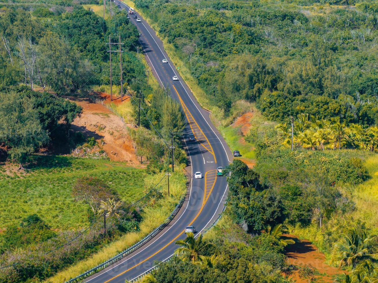 Aerial view of a winding road on Kauai island, Hawaii, surrounded by dense tropical vegetation, palm trees, red soil, and grassy areas with visible vehicles. photo
