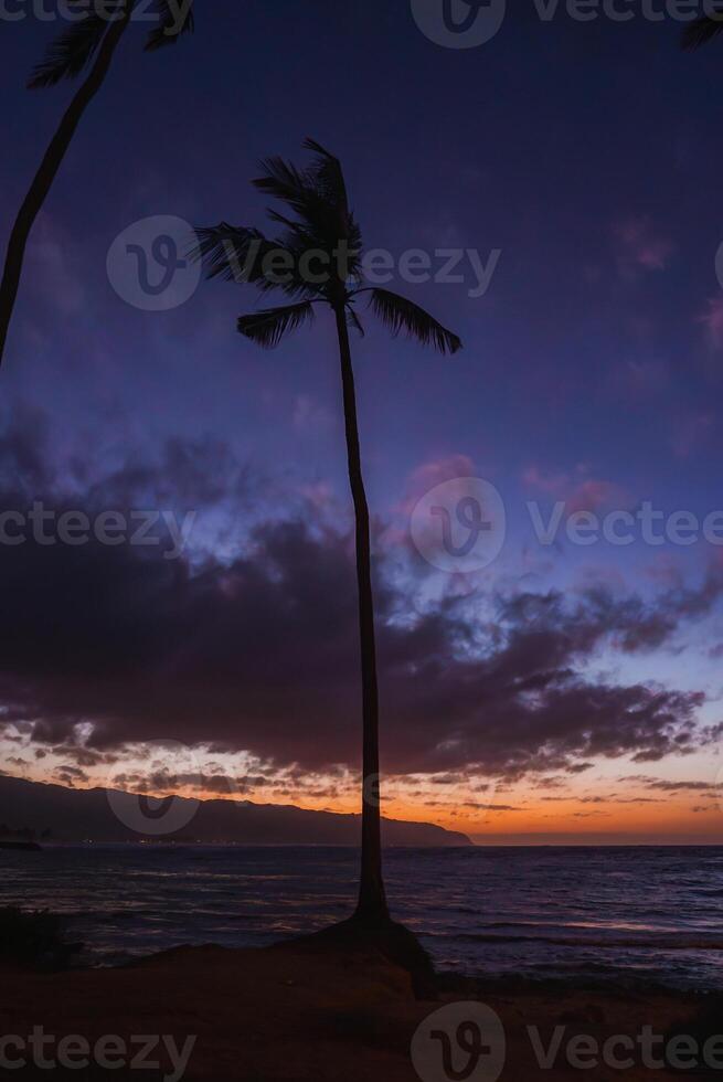 A tall palm tree stands silhouetted against a vibrant sunset sky with purple and orange hues, gentle ocean waves, and a distant mountainous coastline. photo