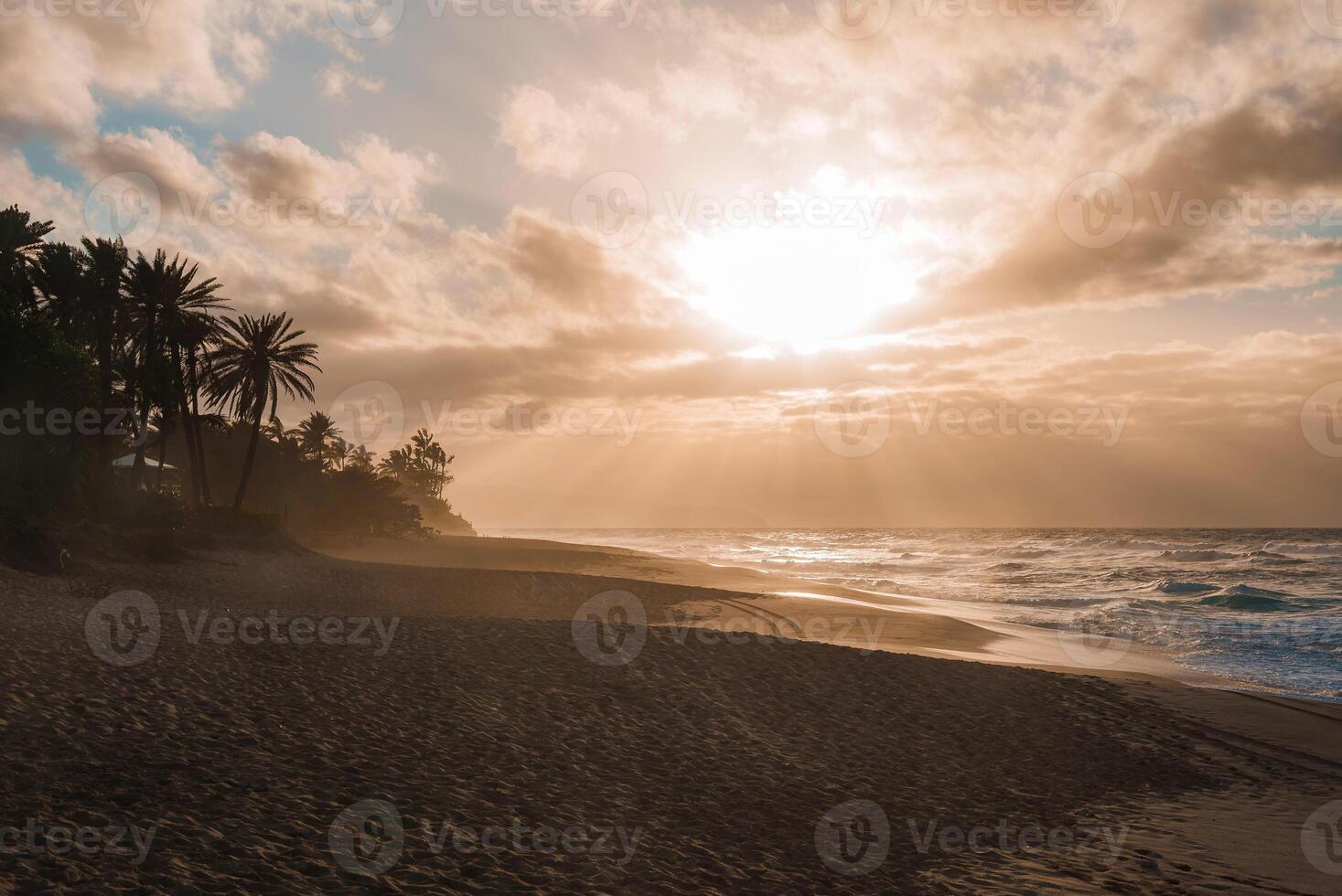 Golden sunset light filters through clouds over the ocean, with palm trees and greenery lining a sandy beach in Hawaii. Faint footprints are visible. photo
