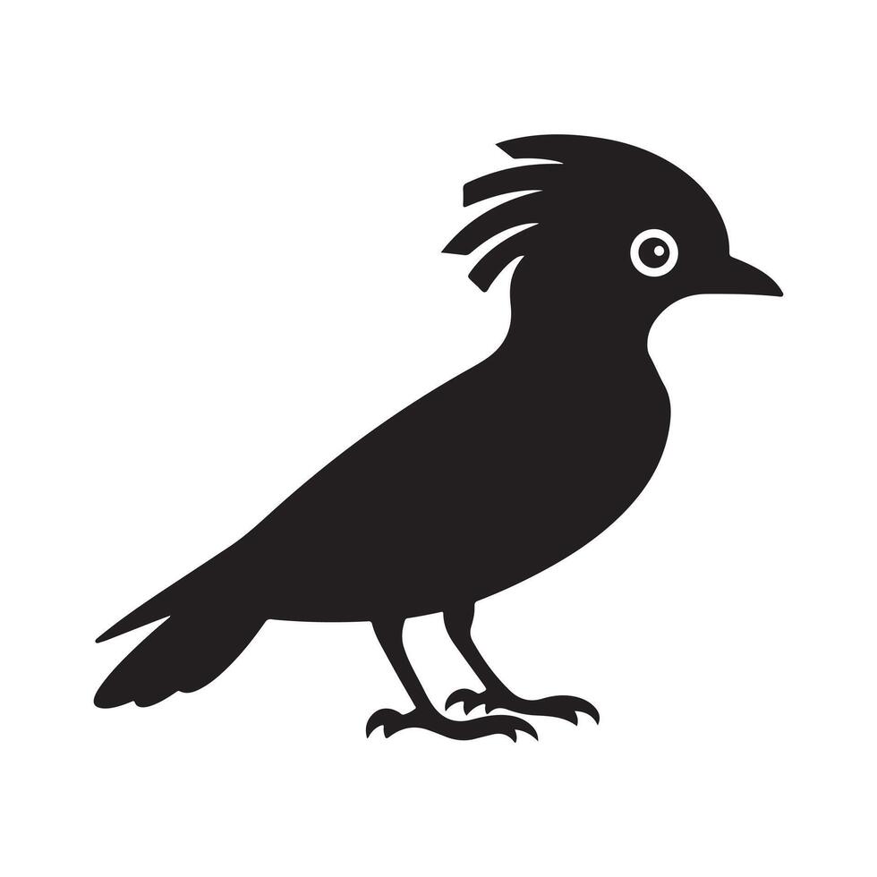 Best Black Bird on a branch vector