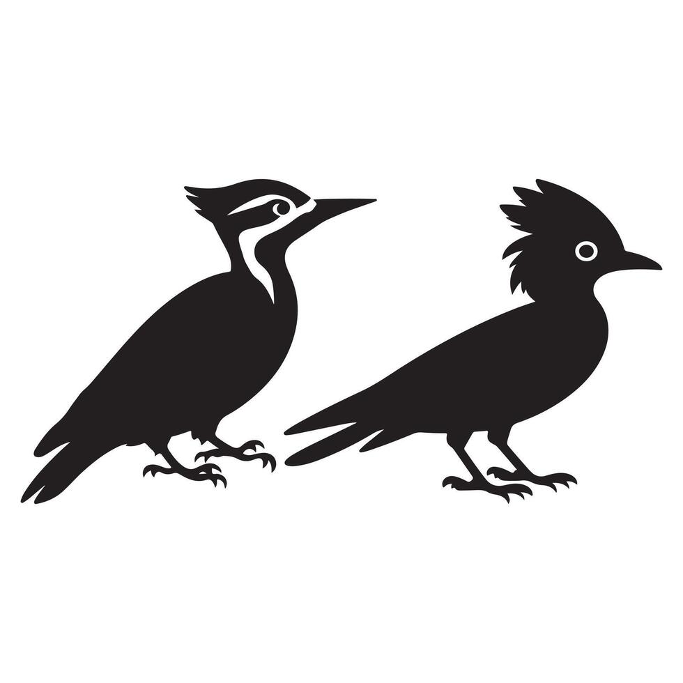 Two Bird on a branch vector