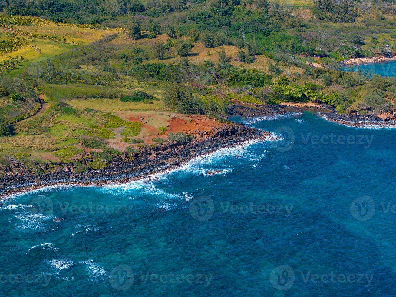 Aerial view of Kauai island's coastline, featuring dark volcanic rocks, vibrant blue ocean waves, lush greenery, red soil, and open grassy areas. photo