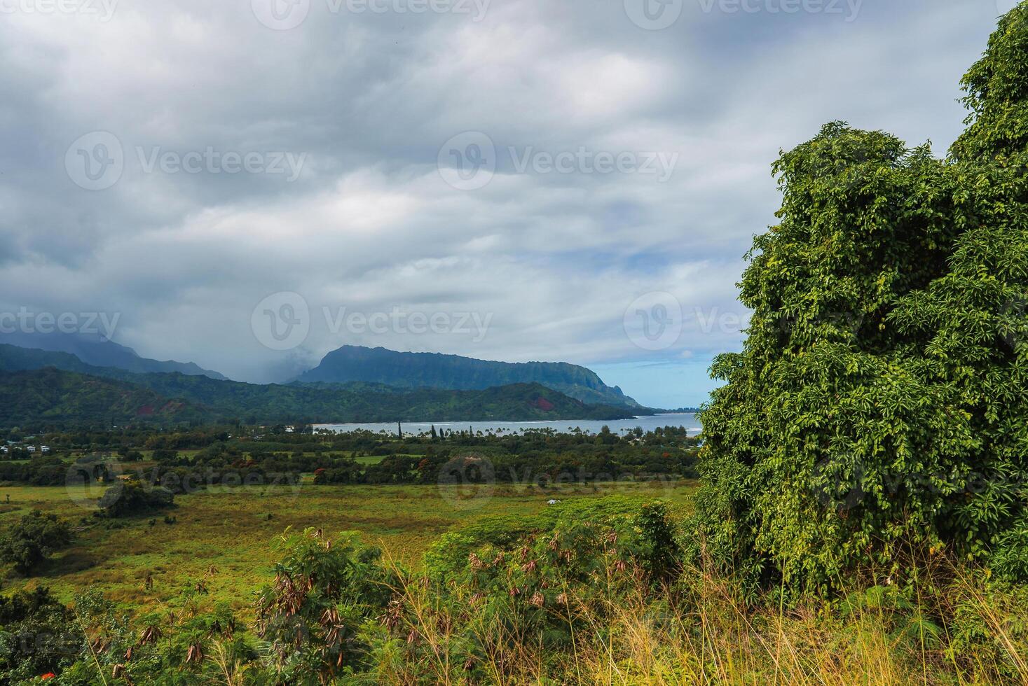 Lush green vegetation frames the Napali cliffs and Hanalei Bay on Kauai island, Hawaii. A small settlement rests in the valley under an overcast sky. photo