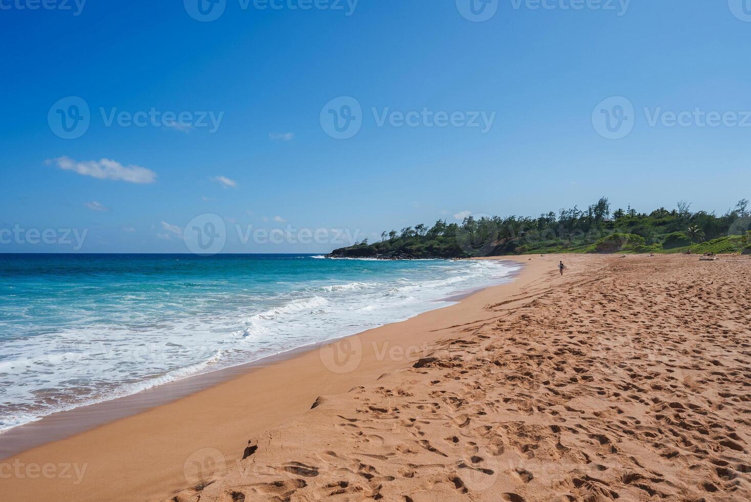 A tranquil beach with golden sand, clear blue ocean waves, and a lush green backdrop. A single person walks along the shore under a bright blue sky. photo