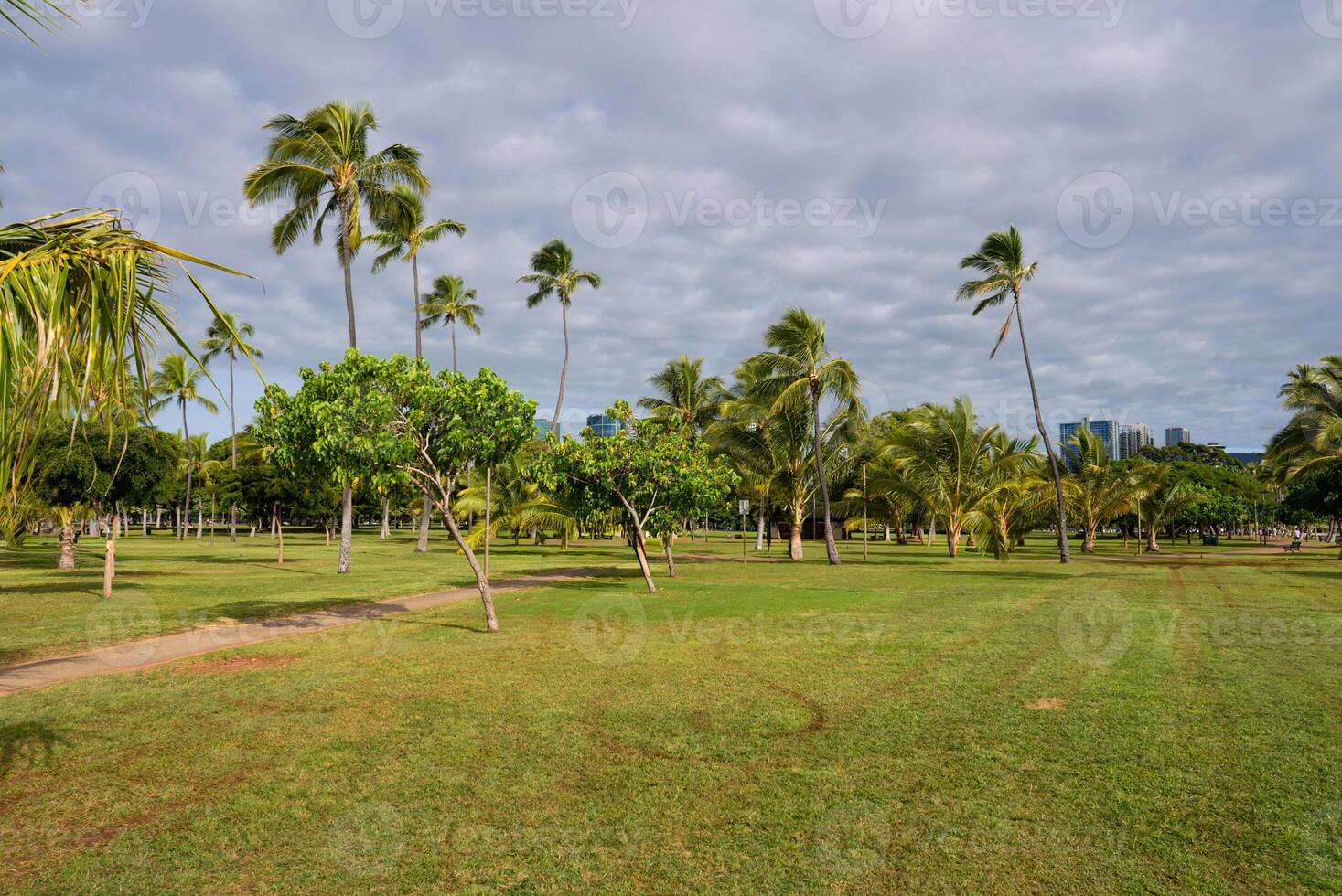 A green park with scattered palm trees, dirt paths, and open grassy areas under a cloudy sky. Modern high rise buildings are visible in the background. photo