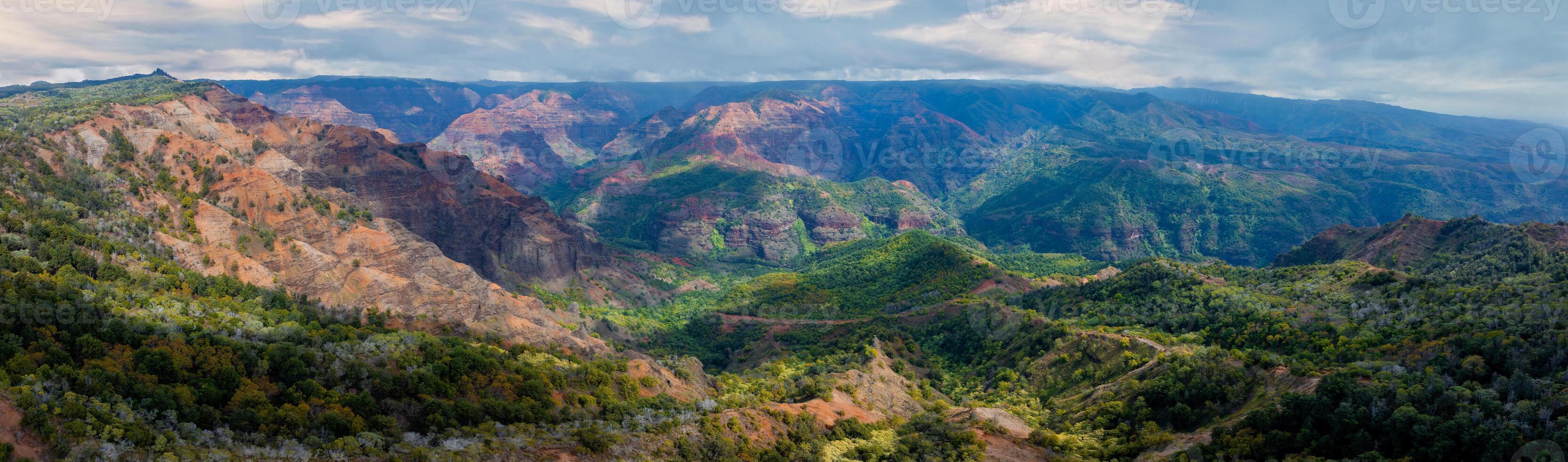Aerial view of Waimea Canyon on Kauai Island, Hawaii, showcasing red and brown cliffs, green vegetation, deep valleys, and dynamic sunlight shadows. photo