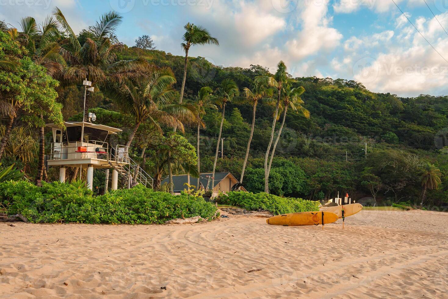 A lifeguard tower on stilts stands near a yellow canoe on a sandy beach, surrounded by palm trees and lush greenery with hills in the background. photo