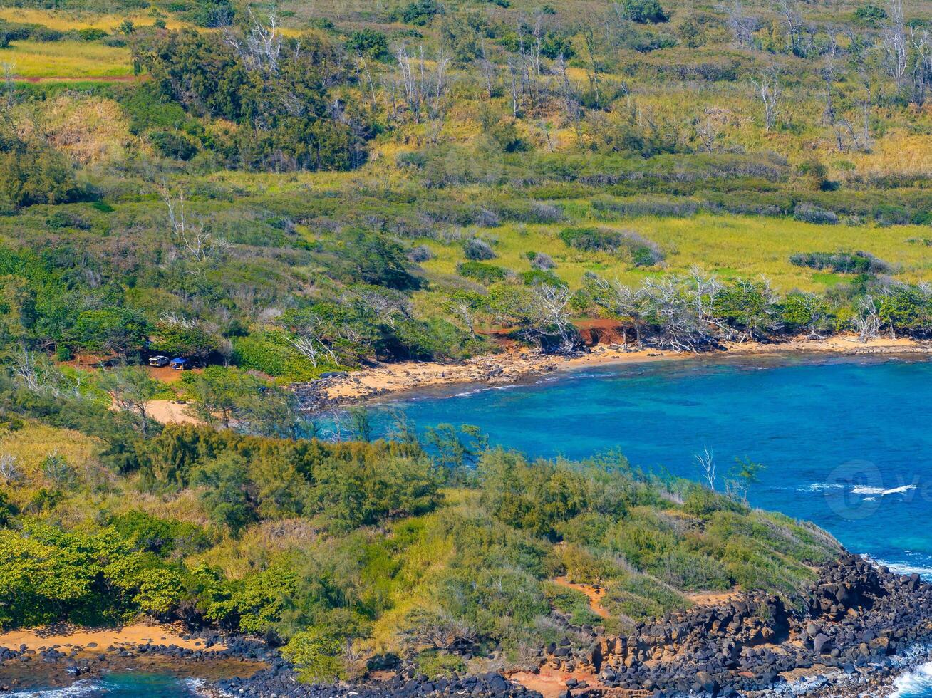 An aerial view of a small cove on Kauai island, featuring turquoise waters, a golden sandy beach, volcanic rocks, and lush greenery in the surroundings. photo