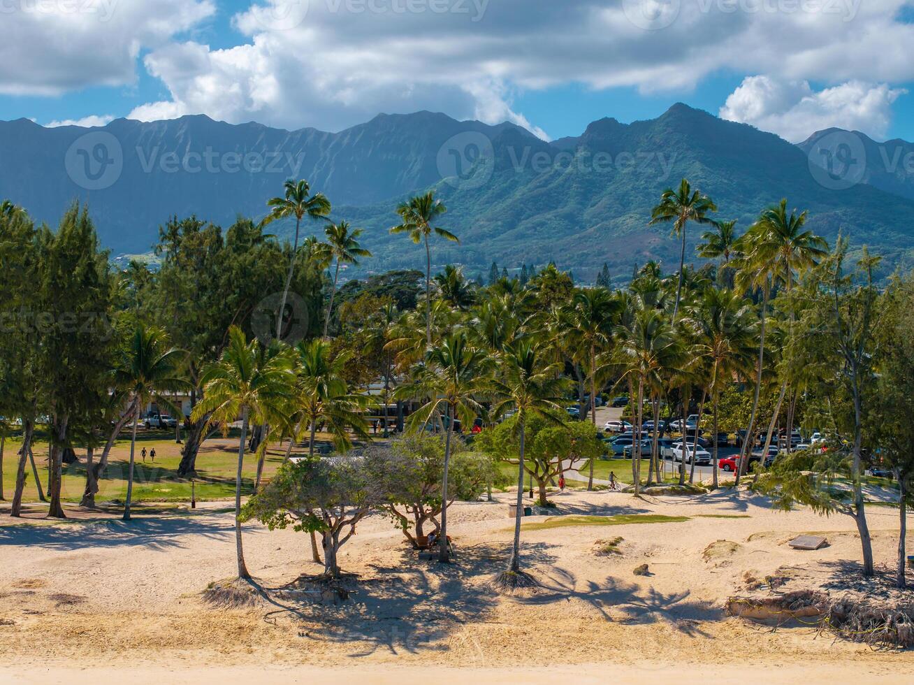 Golden sandy beach on Oahu island with palm trees, lush vegetation, and the Ko olau mountain range under a partly cloudy sky in the background. photo