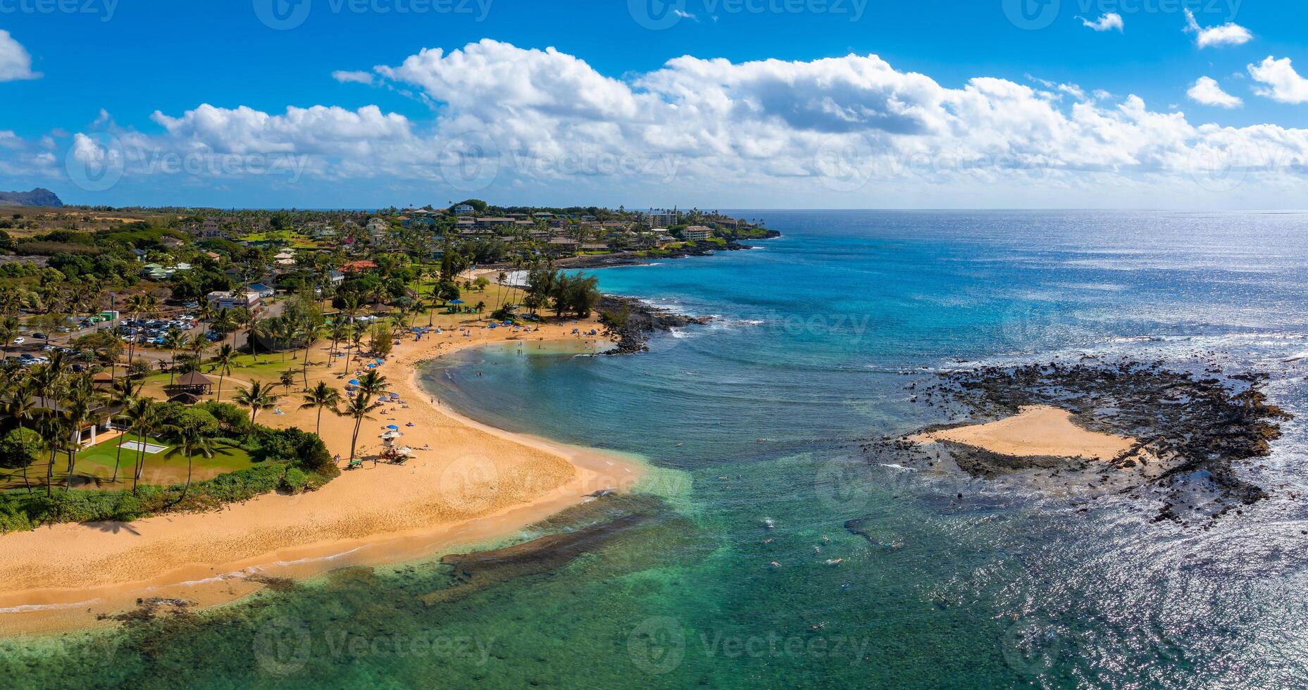 Golden sandy beach on Kauai island, Hawaii, bordered by greenery and palm trees, with turquoise waters, visitors, and a residential area in the background. photo