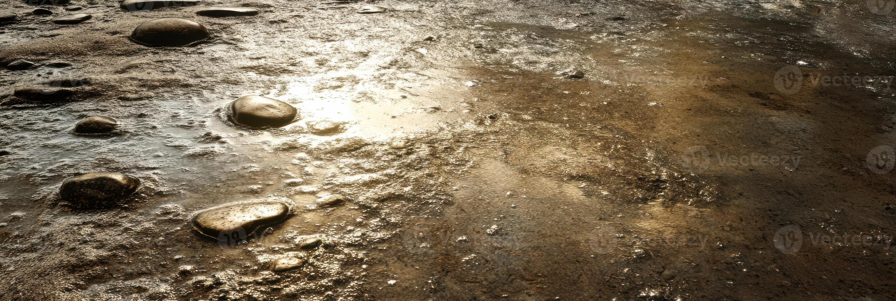 Textured muddy surface with sunlight reflecting over smooth stones photo