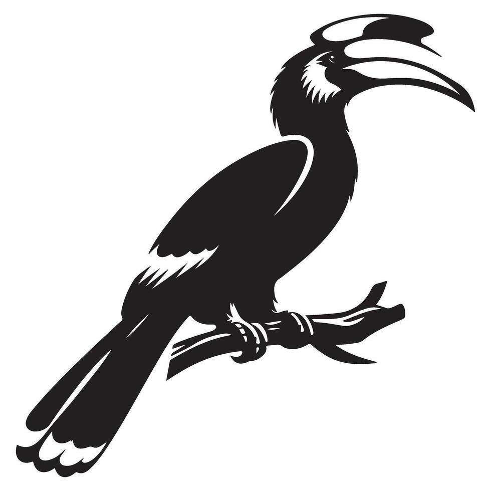 Oriental Pied Hornbill Bird Silhouette Illustration Wildlife Graphics vector