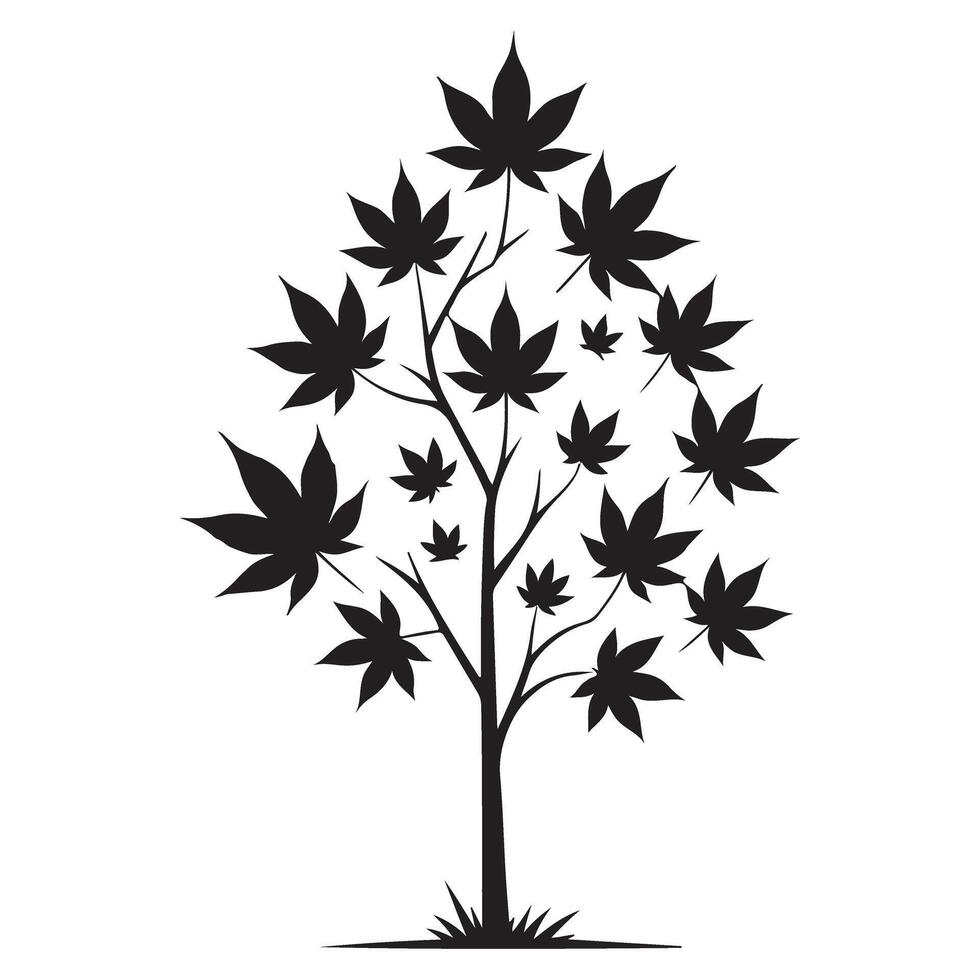 Maple Tree Silhouette Showing Autumn Beauty and Growth vector