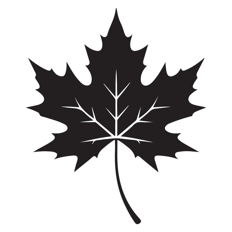 Intricate Maple Leaf Silhouette Illustration Botanical Symbol Design vector