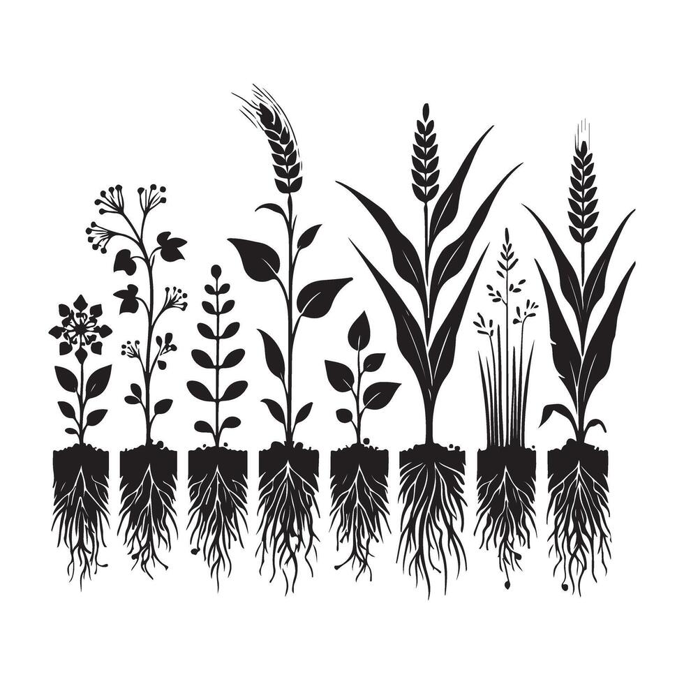 Diverse Plants With Roots Art Illustration for Botany Studies vector