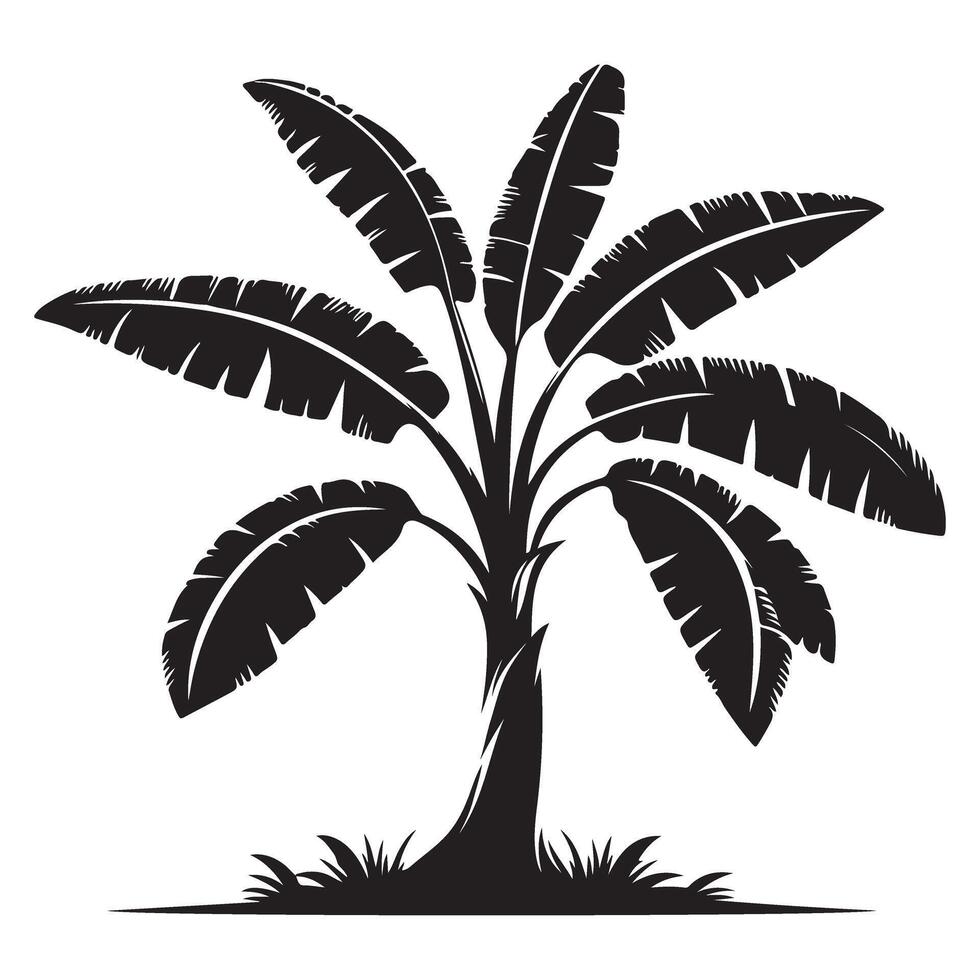 Banana Tree Illustration Tropical Plant Silhouette for Nature Inspired Designs vector