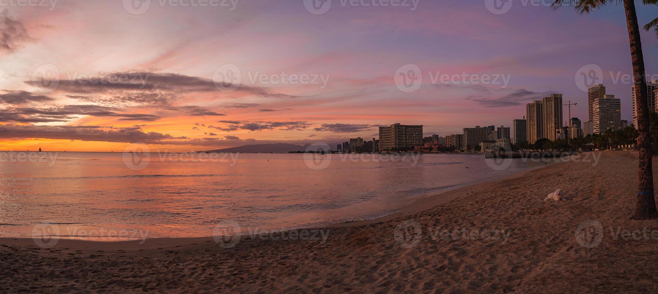 A vibrant sunset over Waikiki Beach in Honolulu, Hawaii, with colorful skies, calm ocean, sailboats, palm trees, and the iconic Waikiki skyline. photo