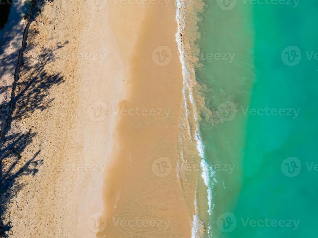 Golden sand meets turquoise waters on Oahu island, Hawaii. Gentle waves create white foam, with tree shadows adding depth to the tranquil scene. photo