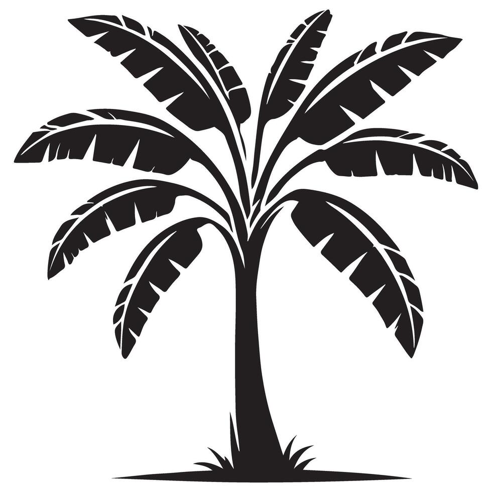 Tropical Banana Palm Trees Silhouette Illustration for Summer vector