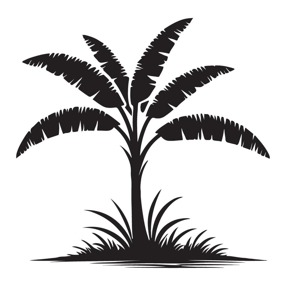 Banana Tree Silhouette Illustration Tropical Plant Graphic Design vector