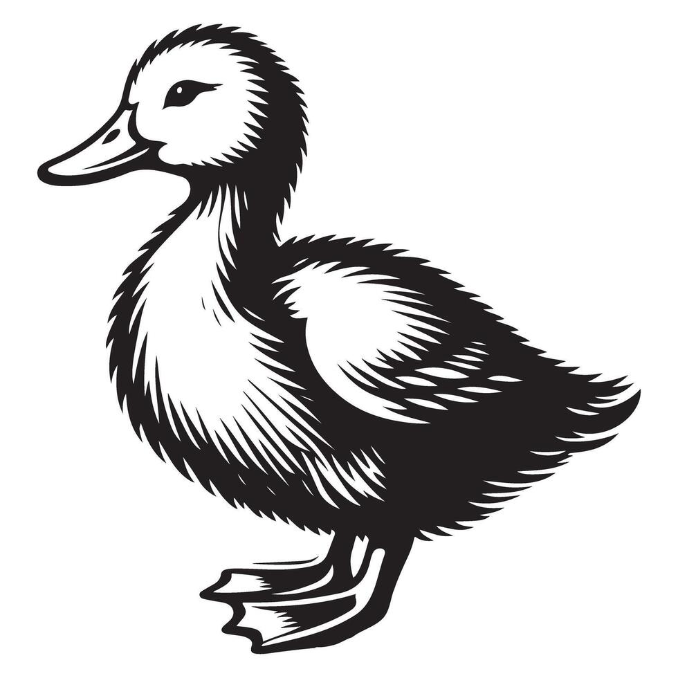 Charming Duckling Illustration Capturing the Innocence of Young Waterfowl vector