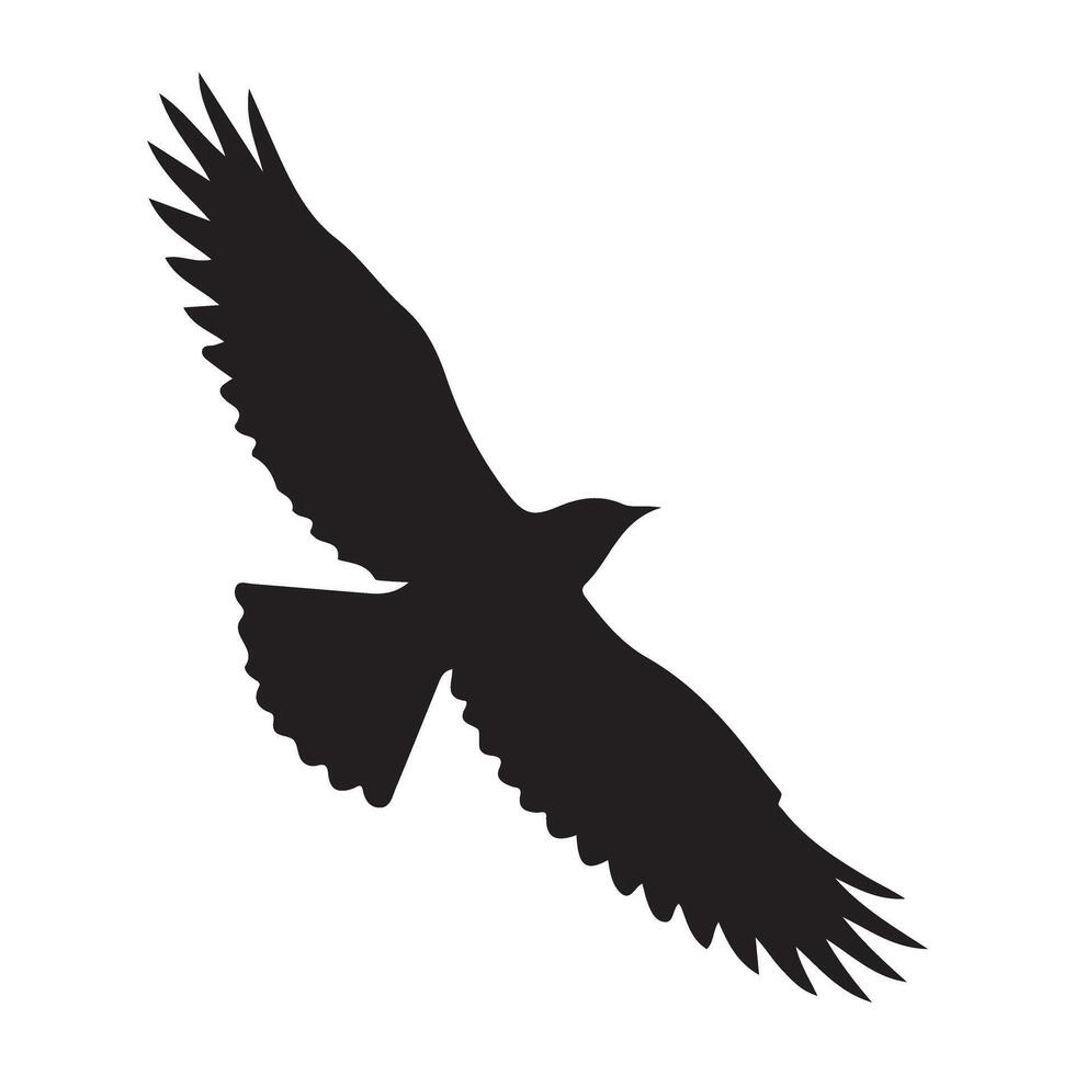 Majestic Bird in Flight Silhouette Soaring High in the Sky vector