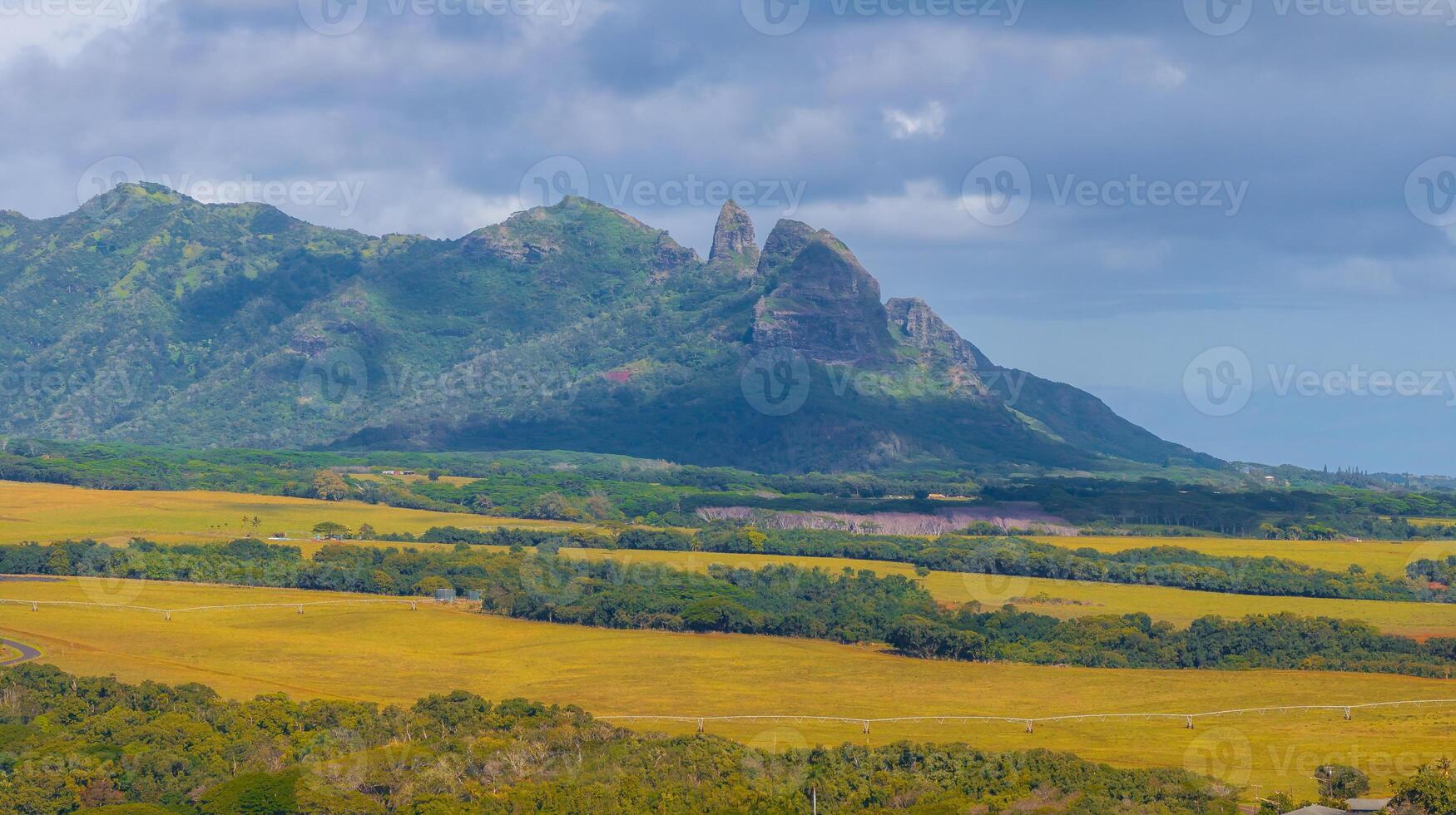 Lush green landscape of Kauai with the Sleeping Giant ridge in the background, golden fields in the foreground, and a partly cloudy sky above. photo
