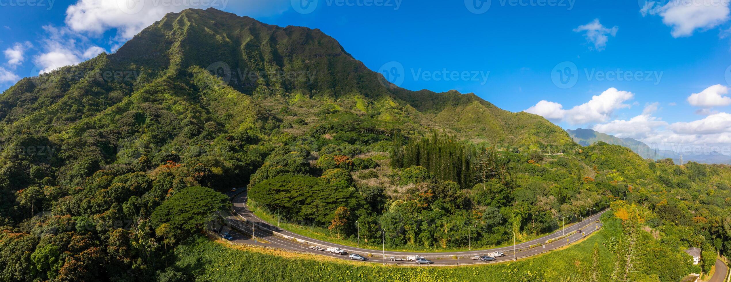 Aerial view of a green mountainous landscape on Oahu island, Hawaii, with a winding highway cutting through dense vegetation under a blue sky. photo
