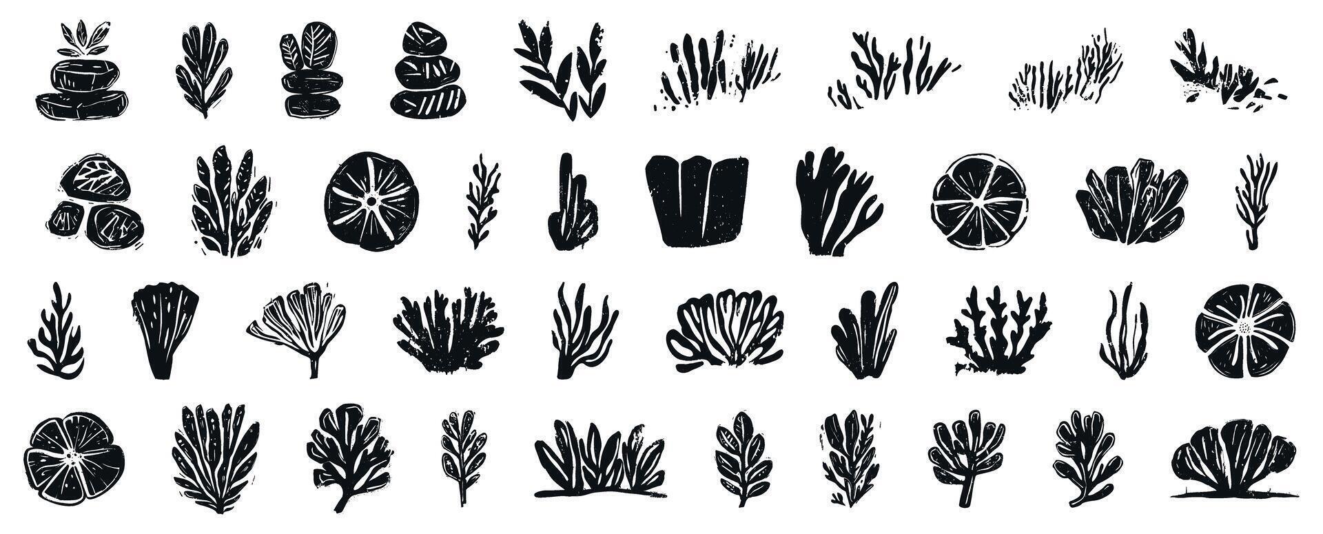 Collection of linocut hand-drawn botanical seaweed and aquatic plant illustrations in black ink style, featuring various underwater flora and coral, isolated on transparent background vector