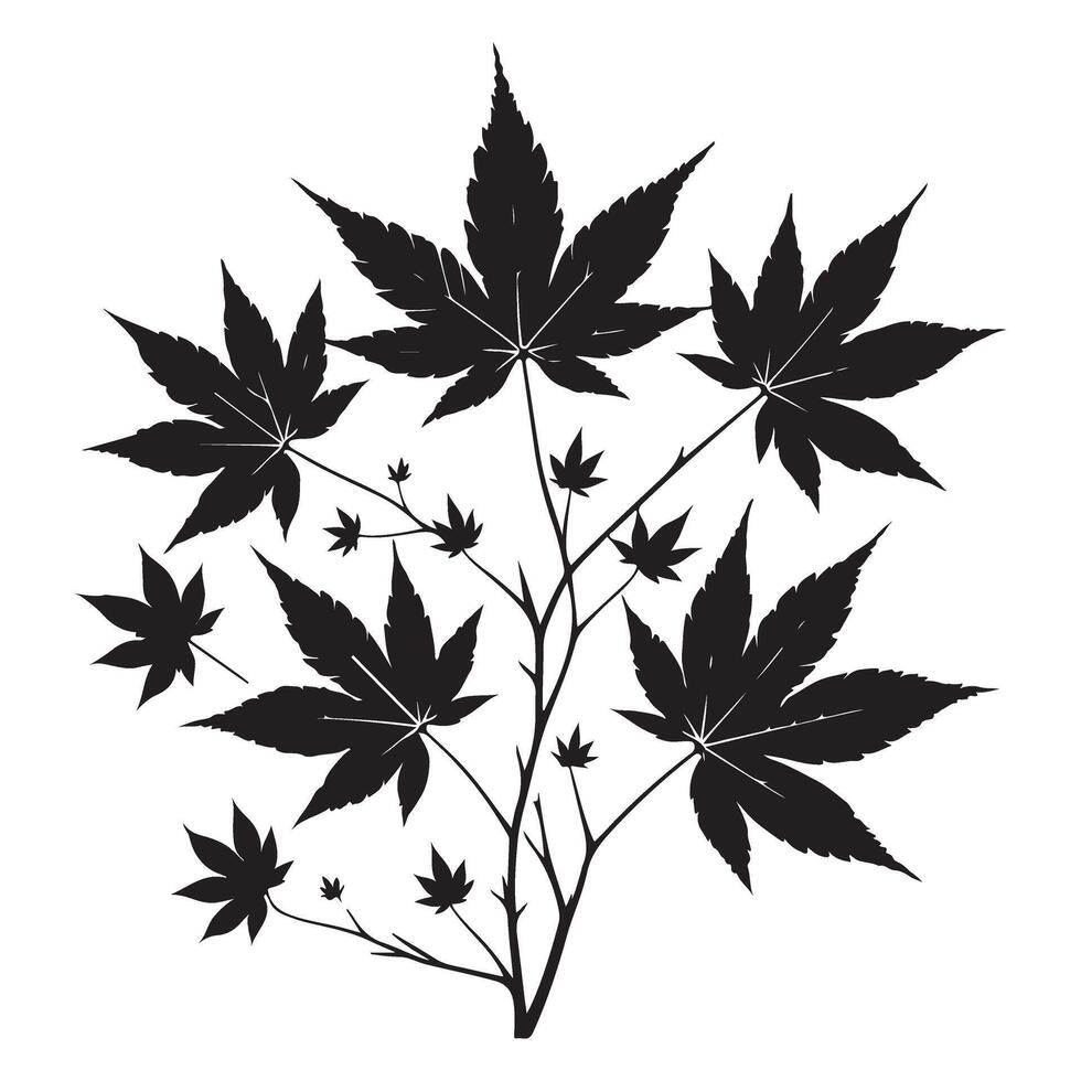 Japanese maple leaves silhouette graphic design element vector